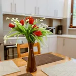 Chania Oasis With Heated Pool